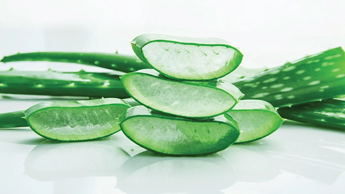 Aloe Vera ESI